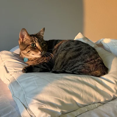 Xena